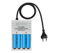 Avizar 4-Channel AA and AAA Digital Battery Charger 220V AC 130mA Plug, Grey