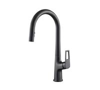 Avizar Extendable Dual-Function Kitchen Faucet with High Spout
