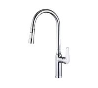 Avizar Extendable Kitchen Faucet with Retractable Flexible Nozzle, Silver