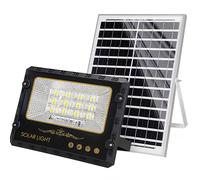 Avizar Outdoor LED Solar Projector 9000K with Automatic Detection