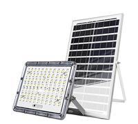 Avizar Outdoor LED Solar Projector 9000K with Automatic Detection, Grey