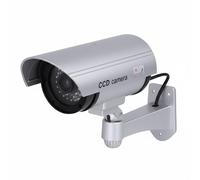 Avizar Tube Type Deterrent Camera for Indoor / Outdoor with Visible LEDs, Silver