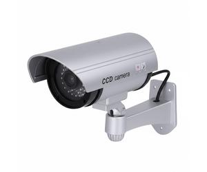 Avizar Tube Type Deterrent Camera for Indoor / Outdoor with Visible LEDs, Silver