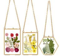 AVLA 3 Pack Pressed Flowers Glass Frames, Brass Hanging Picture Frames with Chain, Small Golden Floating Photo Frame, Clear DIY Artwork Display Frame for Wall Decor, Dried Plant Specimen