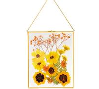 AVLA Brass Hanging Photo Frame, 28x36 cm Double-Glass Floating Display for Pressed Flowers and Large Artwork, Golden Gallery Wall for Specimens and Certificates