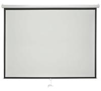 avlink 100-Inch "qtx" Manual Projector Screen