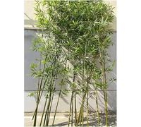 AVLLSO Bamboo leaves Tall 3ft 4ft 5ft 6ft 7ft, Fence Privacy Screen Fake Tree for Balcony Patio Garden Outside Decor, Realistic Lush Green Leaves(10 Pack,2m/6.5ft Tall)