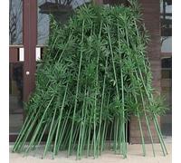 AVLLSO Plastic trees for outdoors Tall Fake Plant for Garden Privacy, Decor Fencing Screen(20 Pack,1.5m/4.9ft Tall)