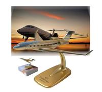 AVMLWEPA 1:200 Scale G650ER Solid Alloy Die-Cast Aircraft Model with Display Stand- 16cm Collectible Replica, Perfect for Aviation Enthusiasts Desk Decor Gift for Pilots