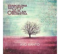 Avo Kanto