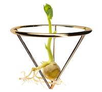 Avocado Growing Holder Triangular Root Germination Bracket | Avocado Root Propagation Rack for Home Landscape Garden Living Room Bedroom Balcony Backyard Patio Greenhouse