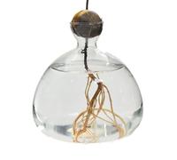 Avocado Growing Vase - Avocado Tree Growing Kit, Unique Glass Vases | Elegant Display Stylish Glass Plant Pot, Avocado Seed Sprout Startr Vase Pot, Avocado Tree Growing Kit for Home Ofice Decor