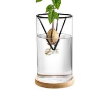 Avocado Growth Vase, Avocado Glass Plant Pot, Starter Vase with Wooden Base, Avocado Tree Starter Vase, Glass Growing Flower Pot, Sprout Growing Vase for Women