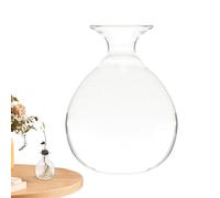 Avocado Seed Glass Vase | Avocado Hydroponic Growing Vase, Avocados Pit Planting And Cultivation Container, Stylish Glass Plant Pot For Indoor & Outdoor