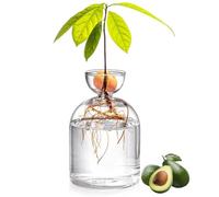 Avocado Seed Starter Vase 3.4x5.4" Glass Avocado Vase for Bulb Growing Minimalist Clear Bud Vases Small Plant Pot for Water Rooting and Indoor Decor Gifts, Seed Starter