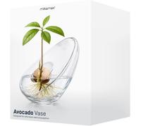 Avocado Seed Starter Vase Recycled Glass Bowl Germination Plant Grower Holder UK