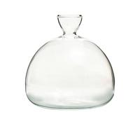 Avocado Seed Vase, Avocado Tree Growing Vase Flower Vases Pot For Growing Planter, Hydroponics Glass Vases For Indoor Outdoor, For Plant Lovers