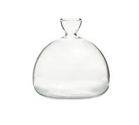 Avocado Tree Flower Vase, Seed Starter Vase, Avocado Tree Growing Kit,for Home Table Desk Indoor Decor(style 4)