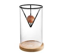 Avocado Tree Growing Kit, 3 Piece Wooden Base Starter Set, 7.13 x 3.78 inches Heavy Duty Glass Propagation Vase, Decorative Plant Growing Tool for Home, Workplace and Beginners