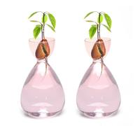 Avocado Vase Avocado Seed Starter Vases Avocado Trees Live Plants Growing kit Glass 2pc