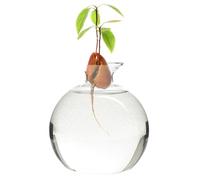 Avocado Vase, Clear High Borosilicate Glass Avocado Seed Starter Vase, Reusable Round Hydroponic Vase, Universal Avocado Growing Vase for Plants Indoor Outdoor 4.7x3.9", Hydroponic Vase