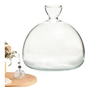 Avocado Vase,Glass Avocado Seed Vase, Clear Avocado Vase For Growing, Reusable Round Hydroponic Vase,Avocado Growing Vase For Plants,Small Plant Pot Vase For Water Rooting And Indoor Decor