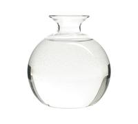 Avocado Vase - Glass Plant Vase, Avocado Growing Vase | Avocado Tree Growing Kit Elegant Vase Planter Hydroponic Vase, Clear Design Glass Heat Resistant Vase Planter for Indoor Outdoor
