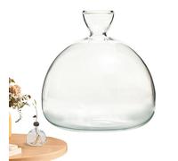 Avocado Vase - Glass Plant Vase, Avocado Growing Vase | Avocado Tree Growing Kit Elegant Vase Planter Hydroponic Vase, Clear Design Glass Heat Resistant Vase Planter for Indoor Outdoor