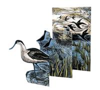 Avocets at Blakeney by Angela Harding Concertina 3D Greeting Card with Envelope