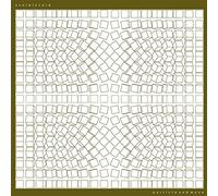 Avoid Avoid - Particle & Wave [VINYL]