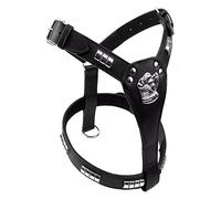 Avon Pet Products Staffordshire Bull Terrier Chrome Studded Leather Dog Harness, Black