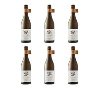 Avondale Jonty’s Ducks Pekin White | 6 x 75cl | South African White Wine 13.5% | Organic & Biodynamic | Crisp Zesty Blend | Chenin Blanc Roussanne