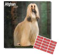 Avonside Afghan Hound 2027 Square Calendar with Organisational Stickers