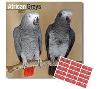 Avonside African Greys 2027 Square Calendar with Organisational Stickers