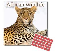 Avonside African Wildlife 2027 Square Calendar with Organisational Stickers