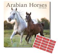 Avonside Arabian Horses 2027 Square Calendar with Organisational Stickers