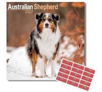 Avonside Australian Shepherd 2027 Calendar with Organisational Stickers