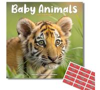 Avonside Baby Animals 2027 Square Calendar with Organisational Stickers | 16 Month Square Wall Calendar, Month to View Layout, Marked UK Holidays, High Quality Images, Home or Office Planner, 12x12in