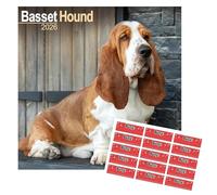 Avonside Basset Hound 2027 Square Calendar with Organisational Stickers