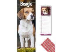 Avonside Beagle 2027 Slimline Calendar with Organisational Stickers, 12 Month UK Wall Planner (Jan-Dec 2027), Home, Office or Kitchen Organiser for Dog Lovers, 15 x 42 cm