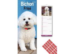 Avonside Bichon Frise 2027 Slimline Calendar with Organisational Stickers, 12 Month UK Wall Planner (Jan-Dec 2027), Home, Office or Kitchen Organiser for Dog Lovers, 15 x 42 cm
