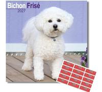Avonside Bichon Frise 2027 Square Calendar with Organisational Stickers