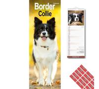 Avonside Border Collie 2027 Slimline Calendar with Organisational Stickers | 2027 Wall Calendar, Marked UK Holidays, High Quality Images, Eco-Friendly, Home, Office or Kitchen Planner, 15 x 42 cm