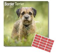 Avonside Border Terrier 2026-2027 Calendar with Organisational Stickers, 16 Month Square Wall Calendar (Sept 2026 - Dec 2027), UK Planner For Dog Lovers, Home or Office, 11.6 x 11.6 in