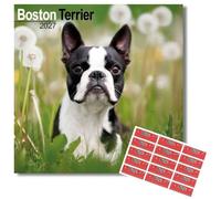 Avonside Boston Terrier 2027 Square Calendar with Organisational Stickers