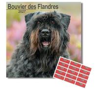 Avonside Bouvier des Flandres 2027 Calendar with Organisational Stickers