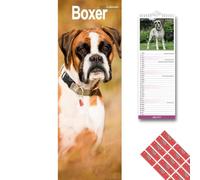 Avonside Boxer 2027 Slimline Calendar with Organisational Stickers