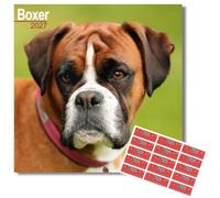 Avonside Boxer 2027 Square Calendar with Organisational Stickers