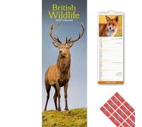 Avonside British Wildlife 2027 Slimline Calendar with Planner Stickers
