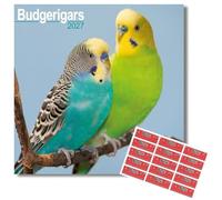 Avonside Budgerigar 2027 Square Calendar with Organisational Stickers